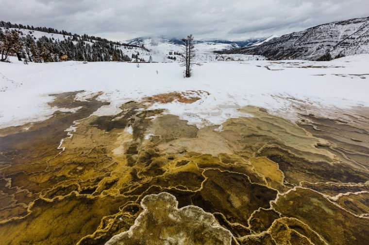 58 Yellowstone NP.jpg